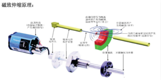 MTS磁环